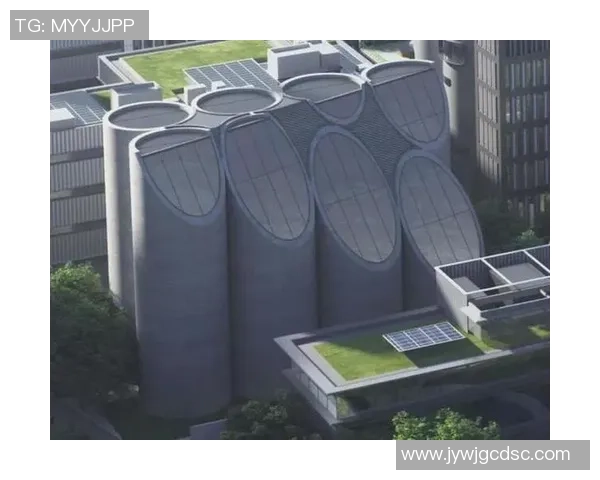 南京足球队转型之路的挑战与机遇全景解析